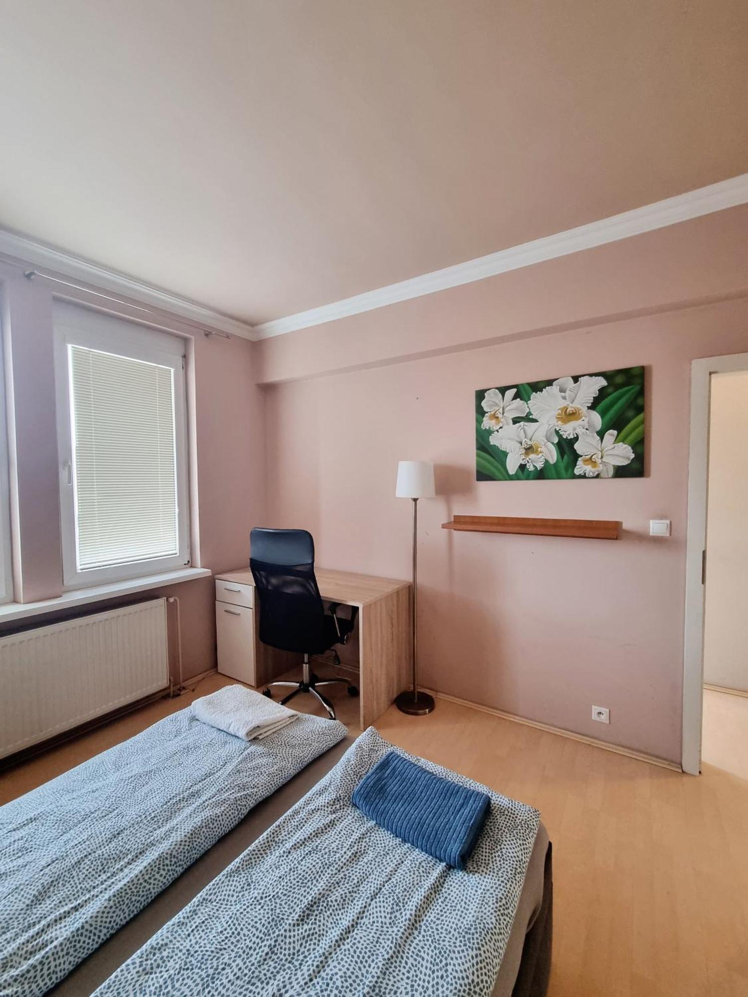 Big 4 Room Huge Apartment Pozsony Kültér fotó